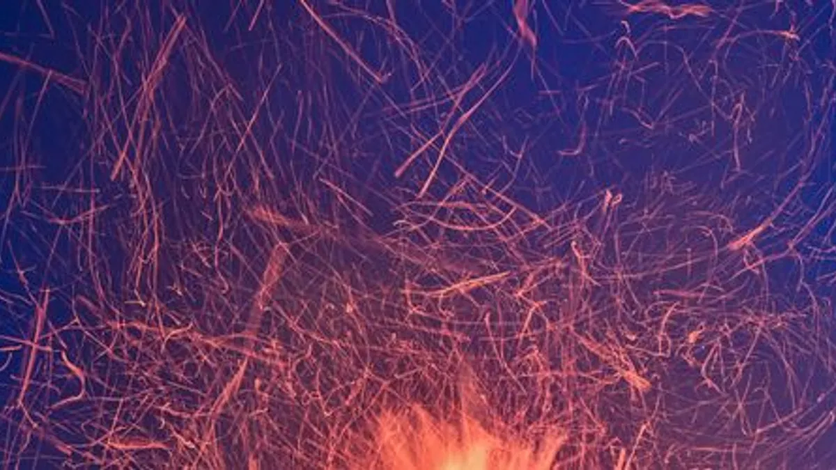 Archäologie: Homo erectus nutzte womöglich schon vor über 1,7 Millionen Jahren Feuer