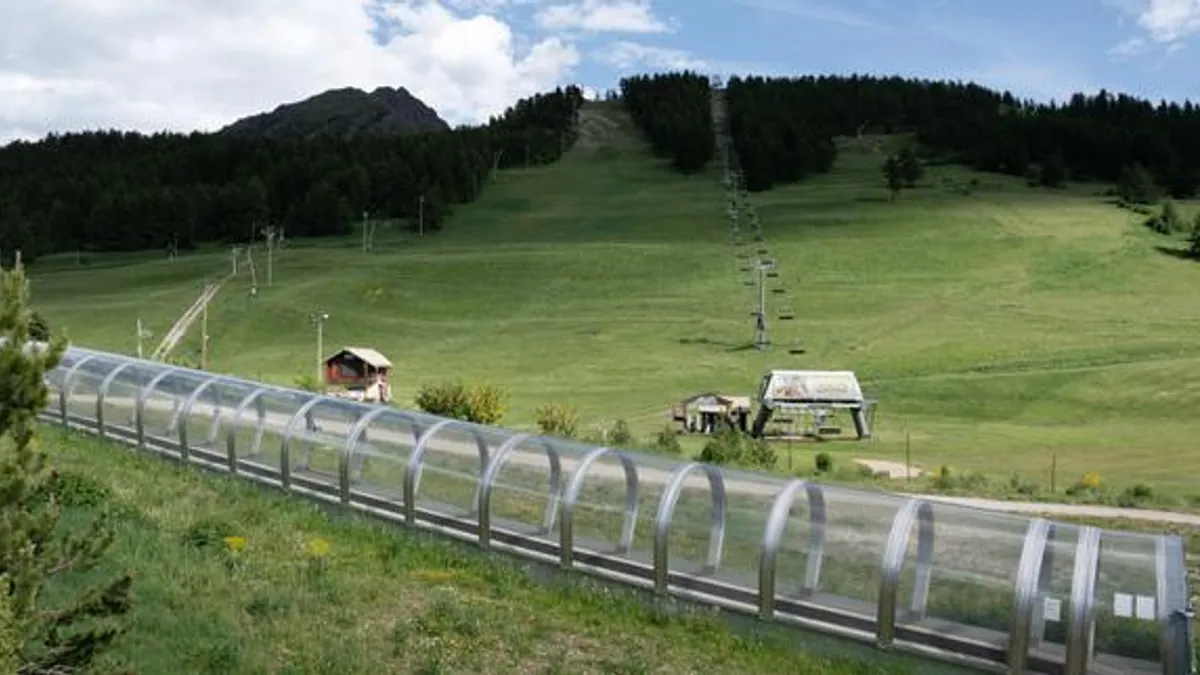 JO d’hiver 2030 : dans les Hautes-Alpes, plus de 3 hectares d’arbres sont menacés par les futures pistes de snowboardcross et de skicross