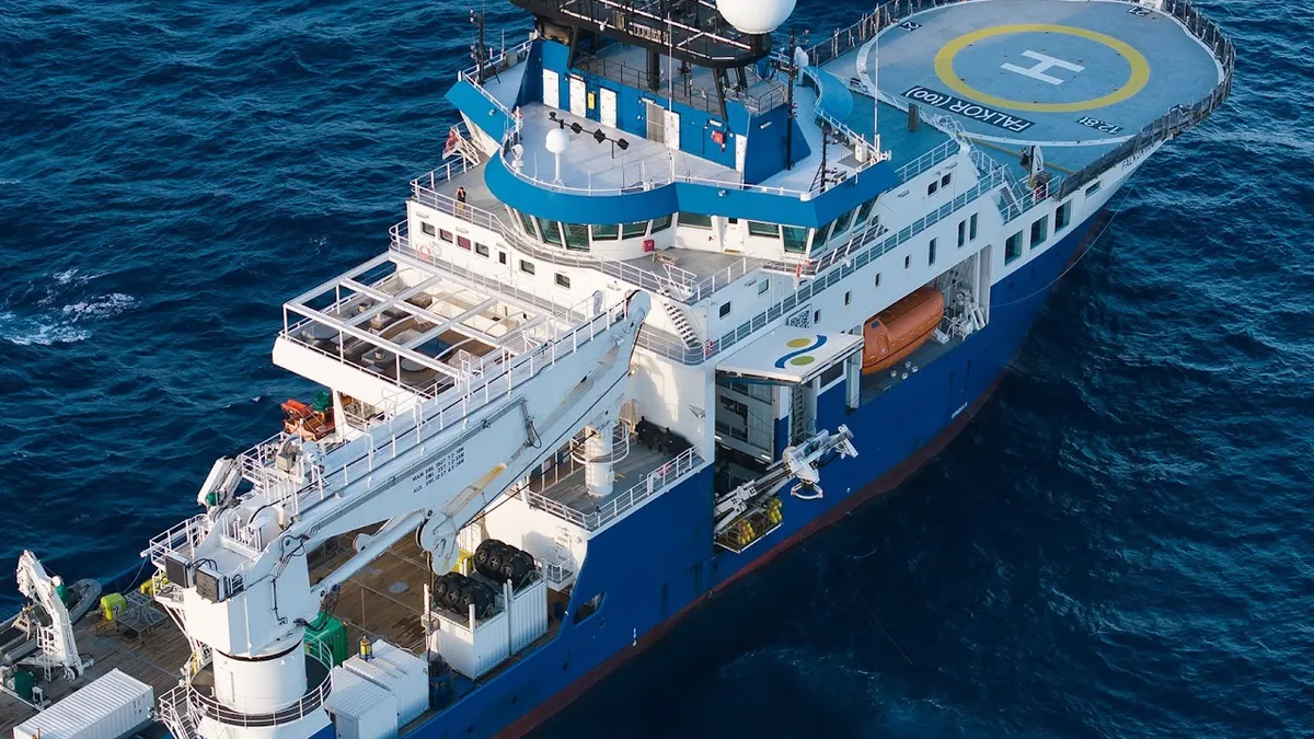 Expedição internacional descobre 31 novas espécies marinhas no Brasil